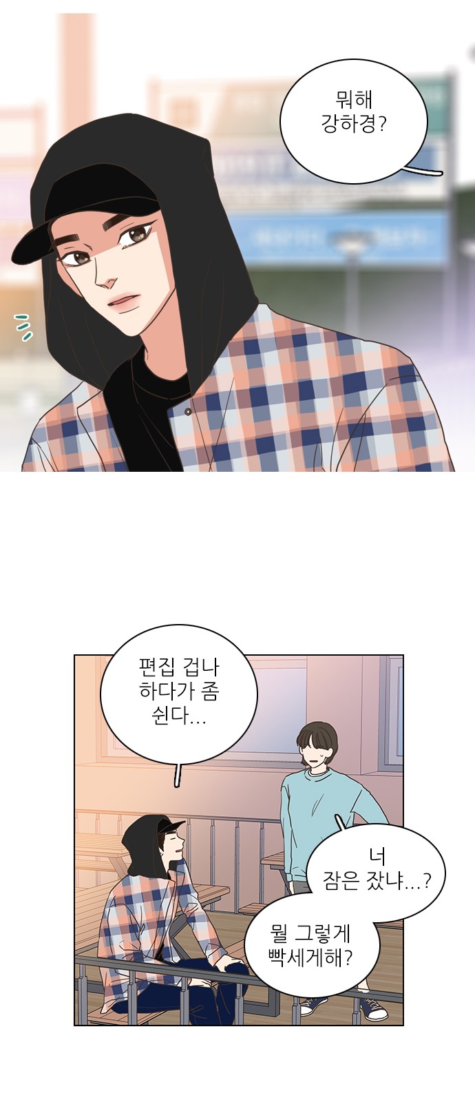 20 페이지