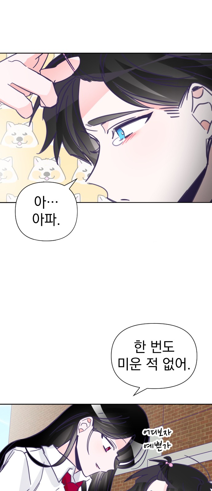 20 페이지