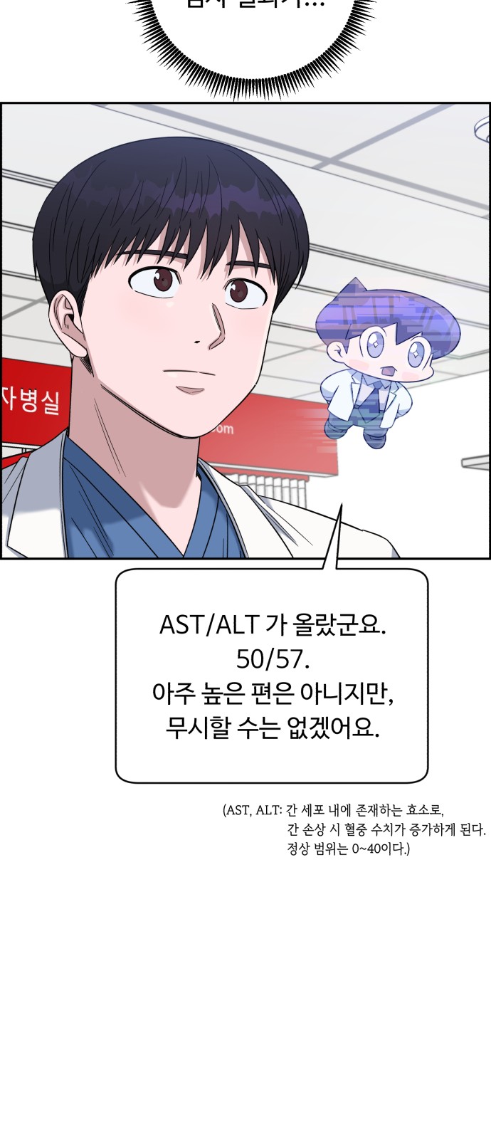 70 페이지