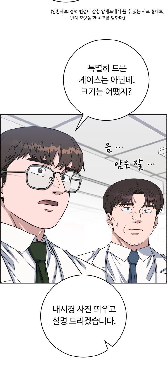 35 페이지