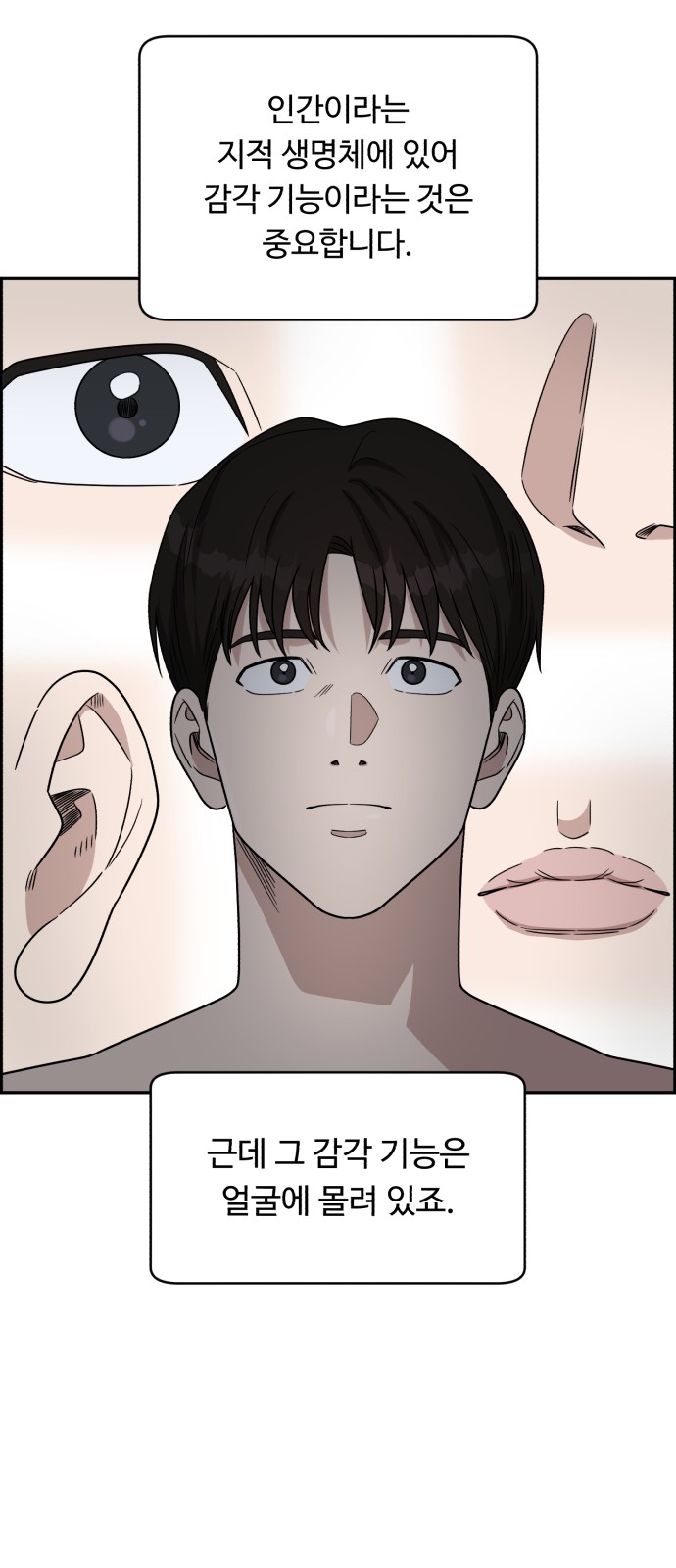 53 페이지