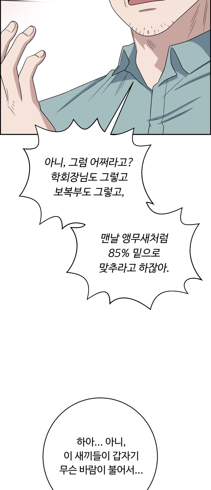 46 페이지