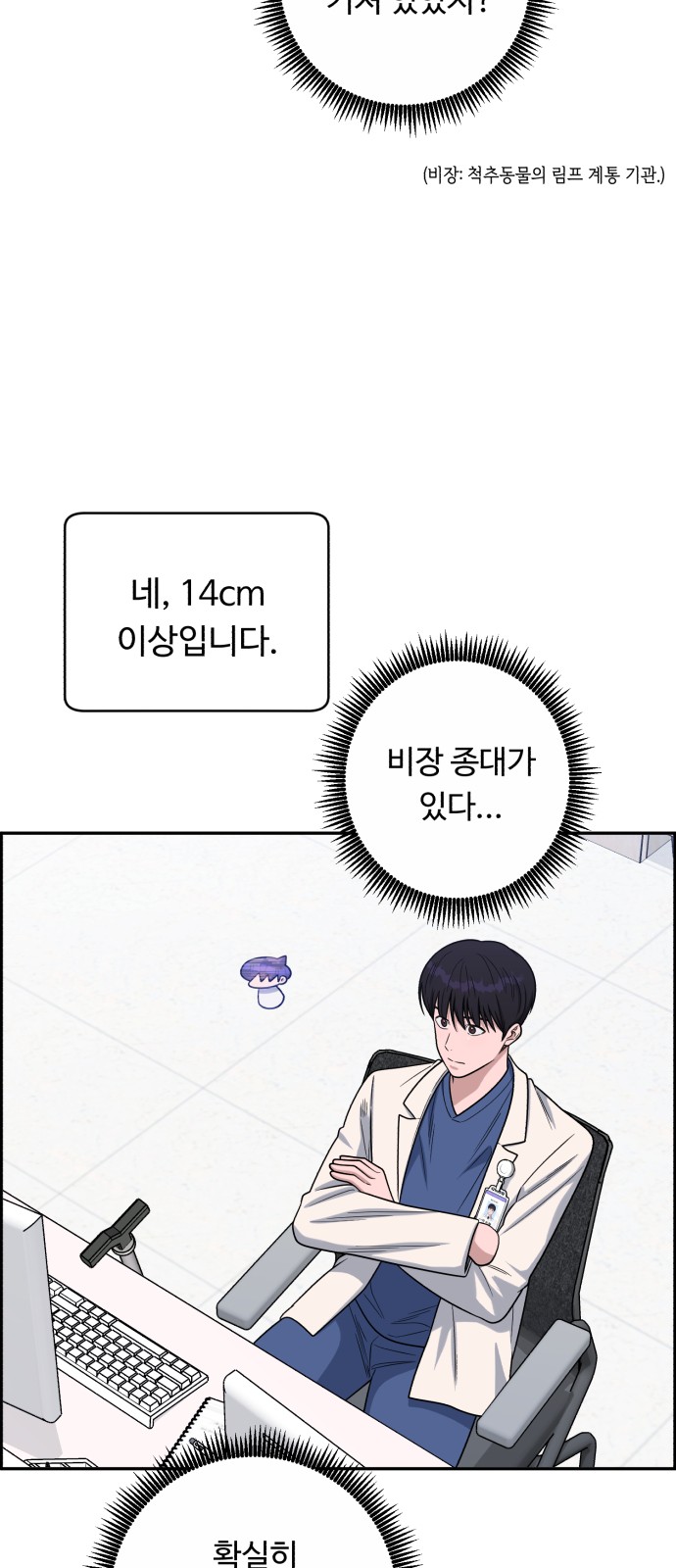 14 페이지