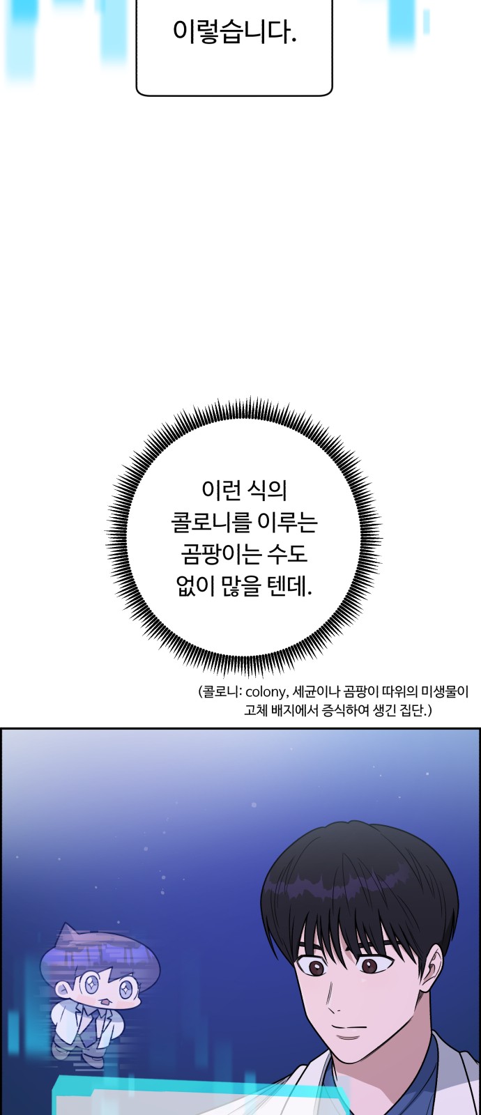 74 페이지