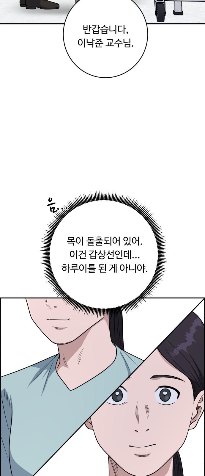 66 페이지