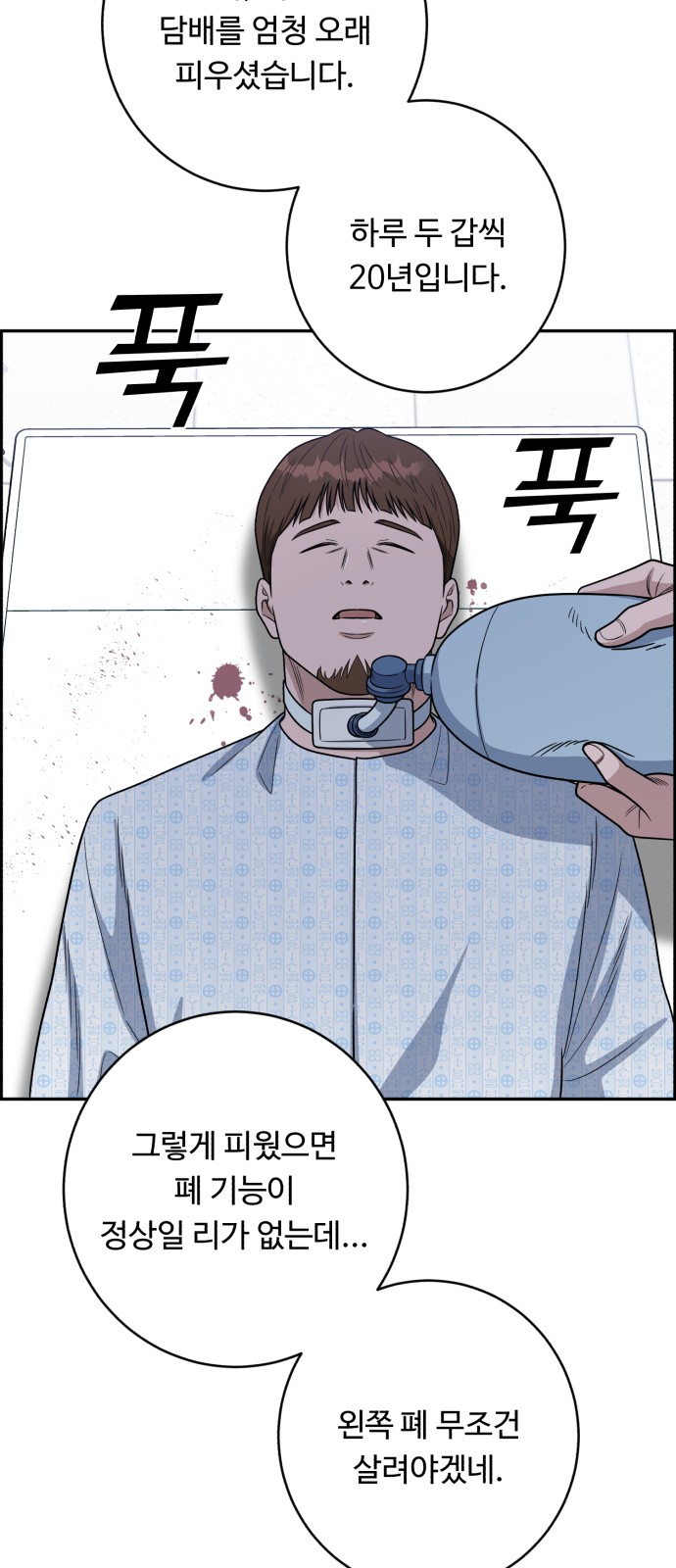 31 페이지