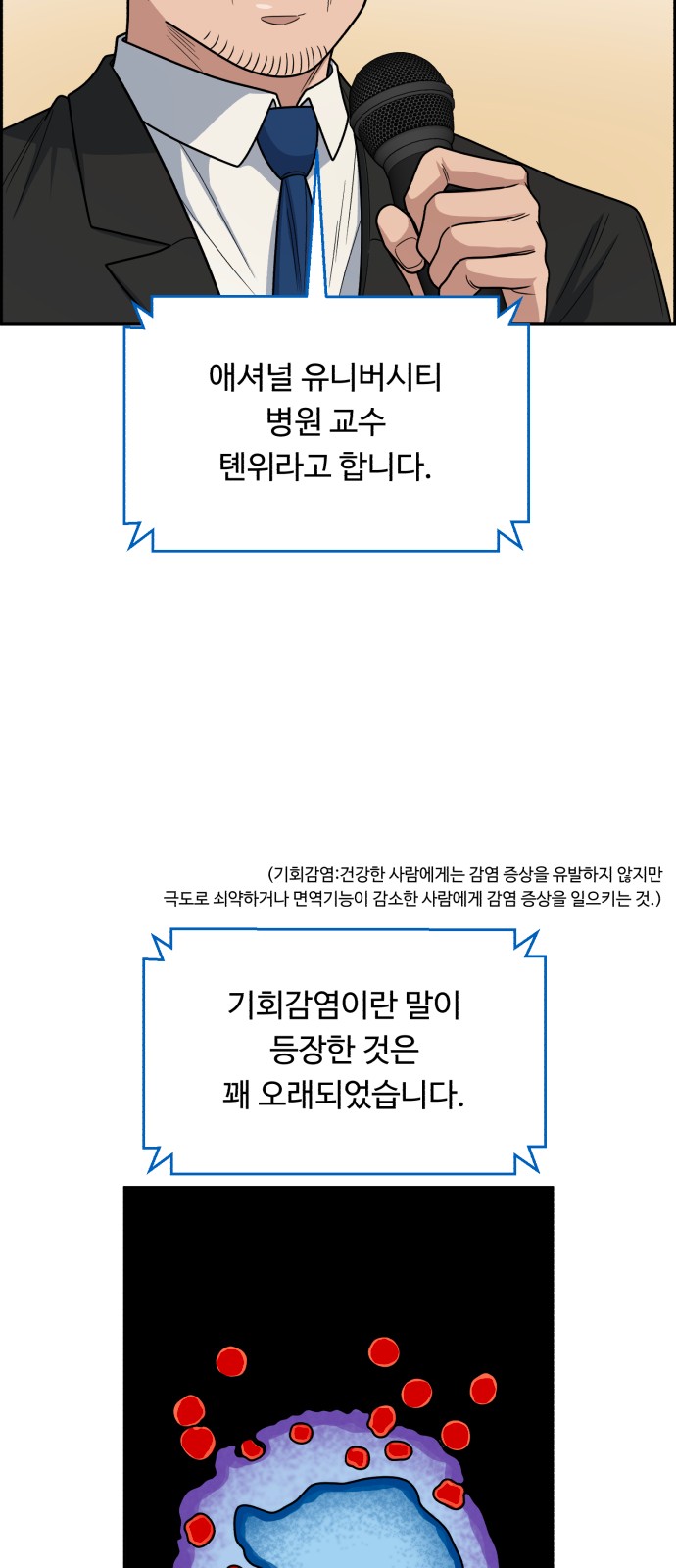 36 페이지