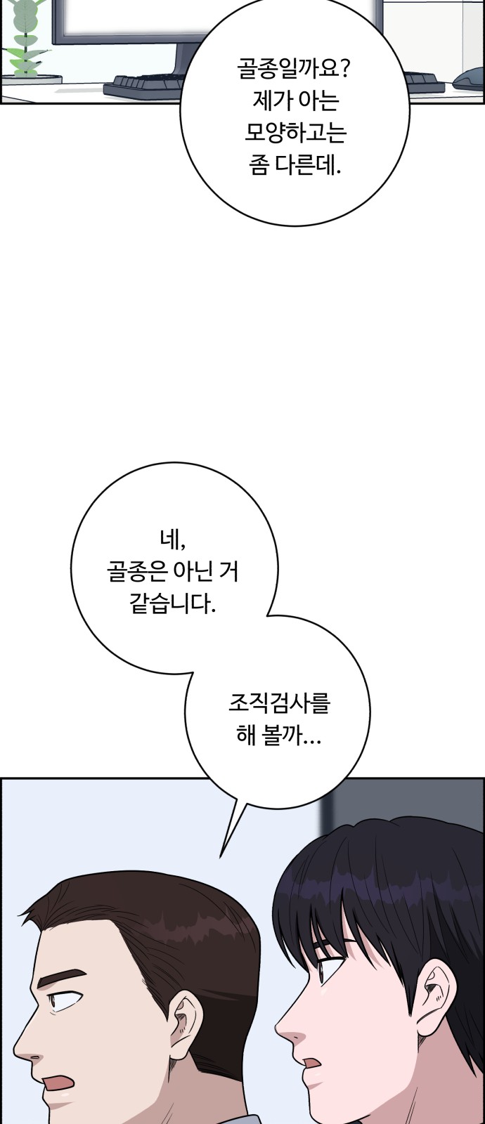 46 페이지