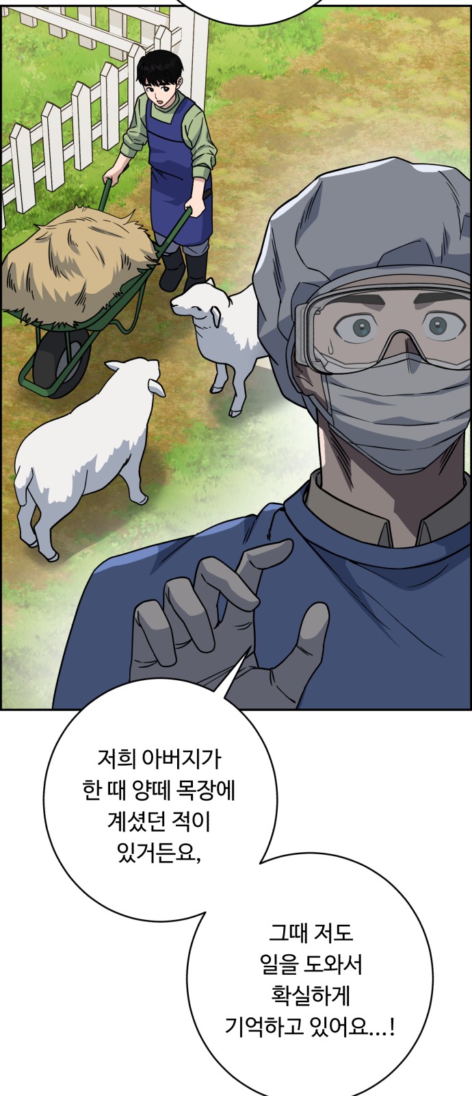 52 페이지