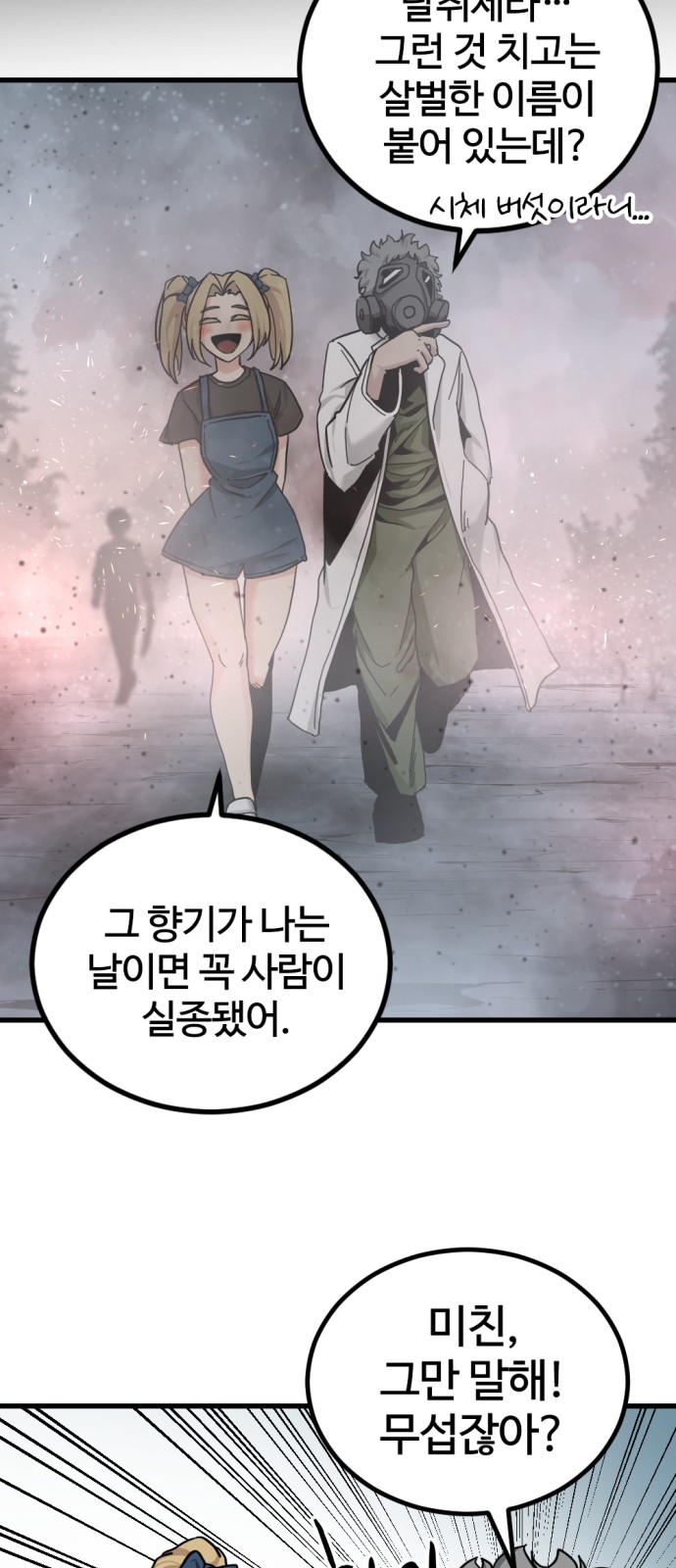 66 페이지
