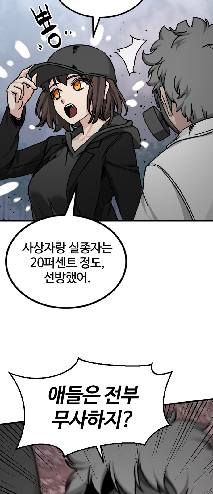 43 페이지