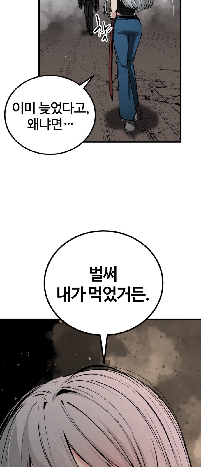 66 페이지