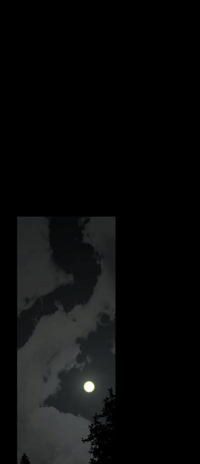 74 페이지