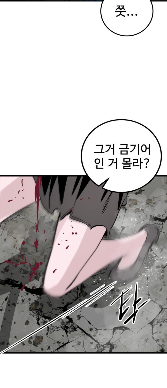 66 페이지