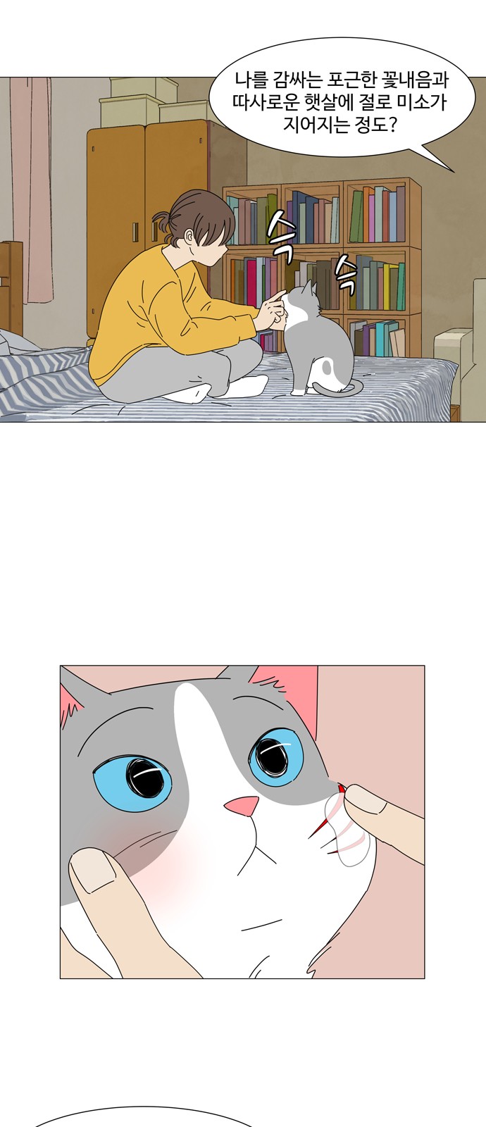 40 페이지