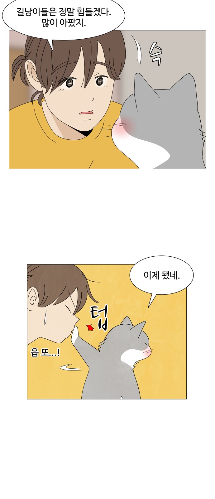 41 페이지