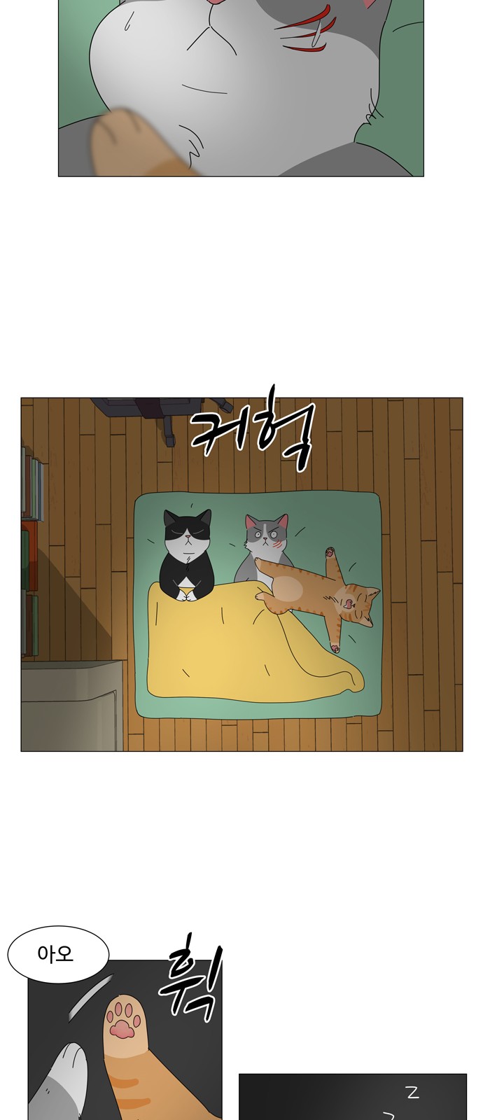 43 페이지