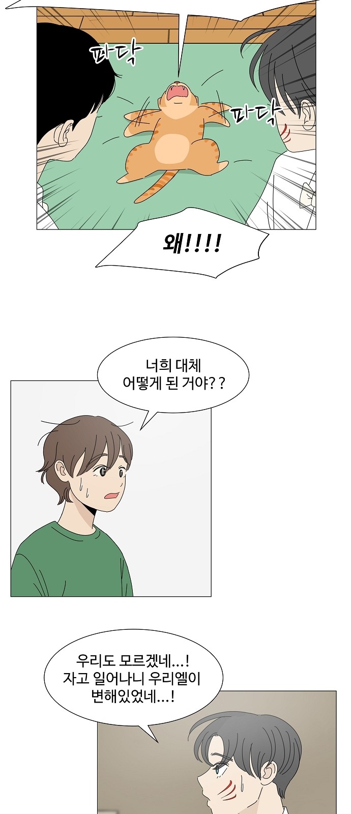 13 페이지