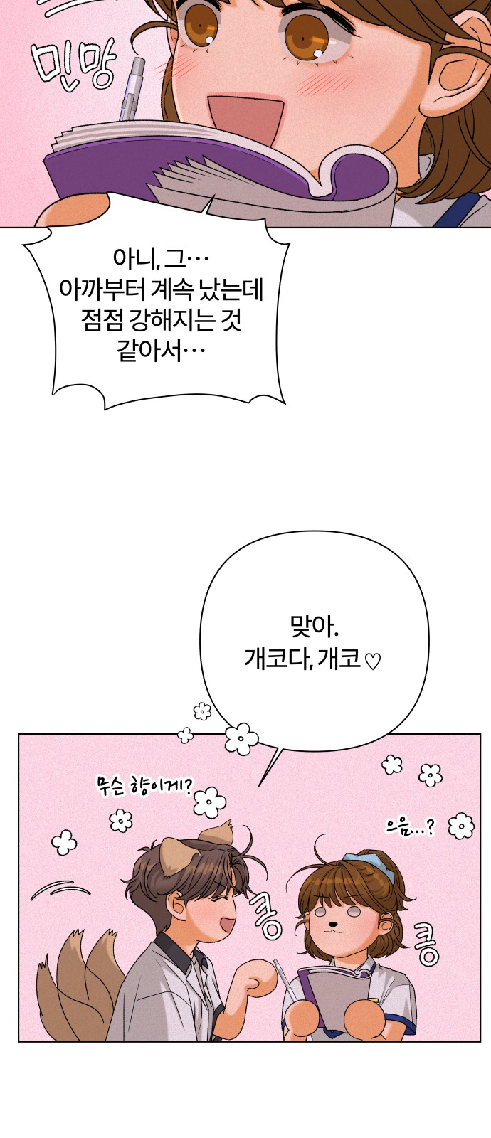 53 페이지