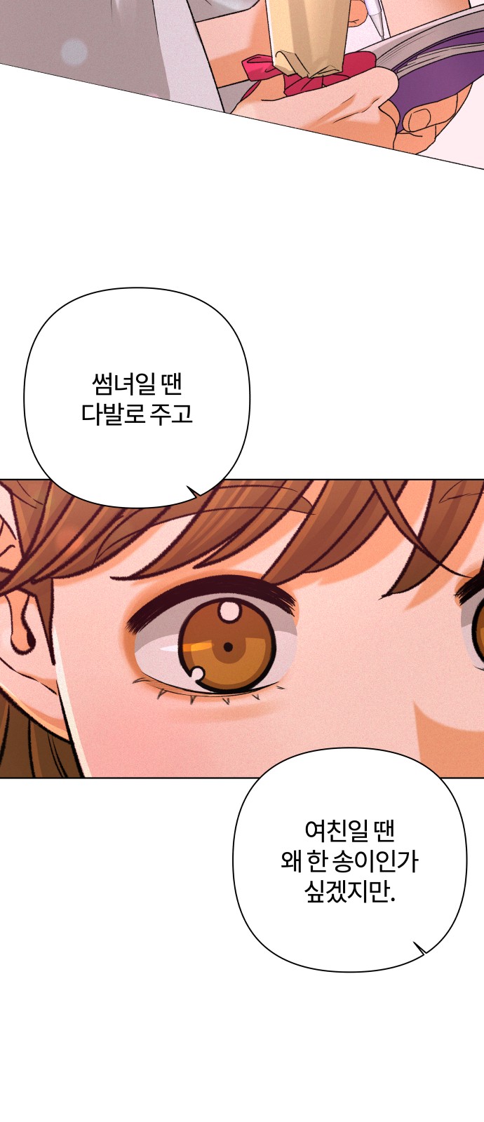 57 페이지