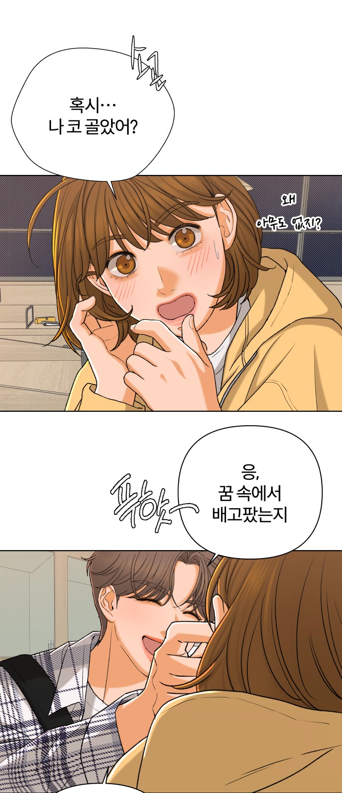16 페이지