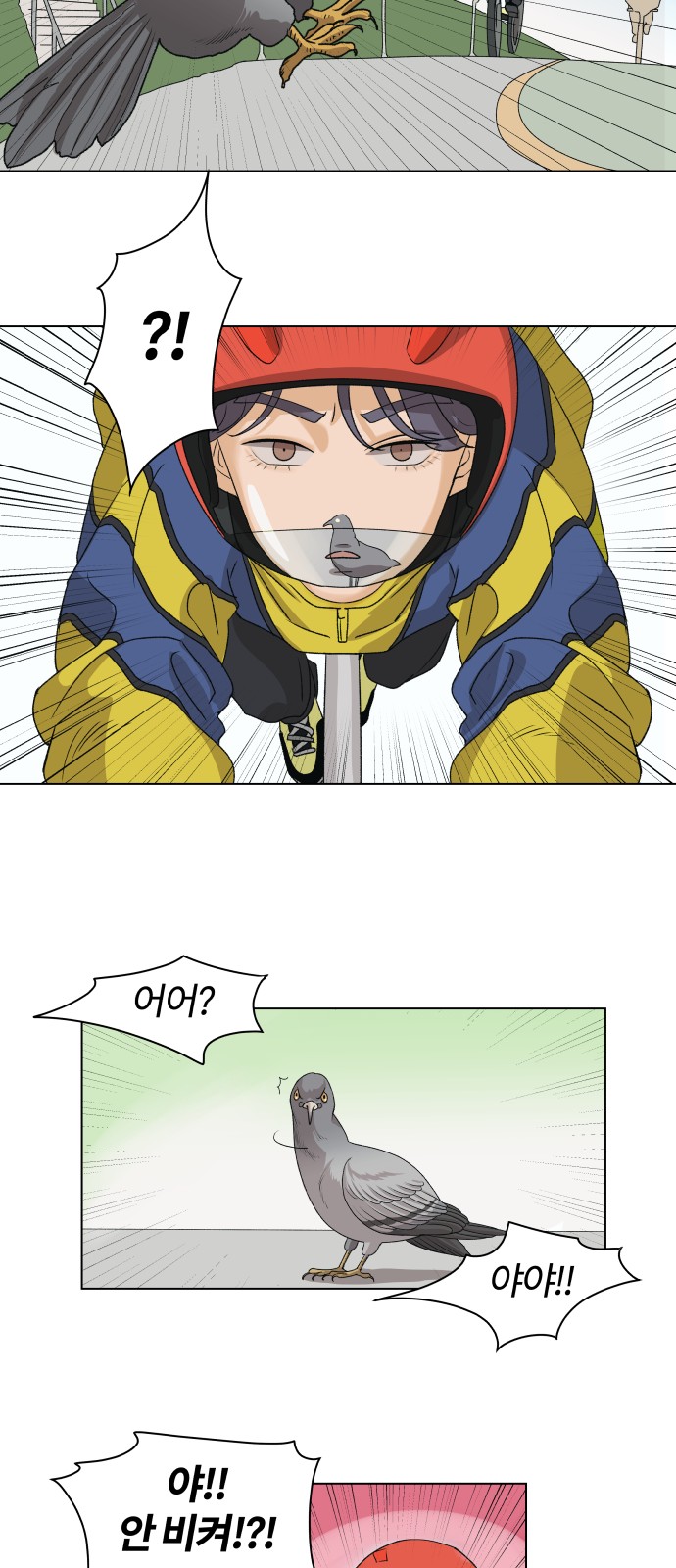 16 페이지
