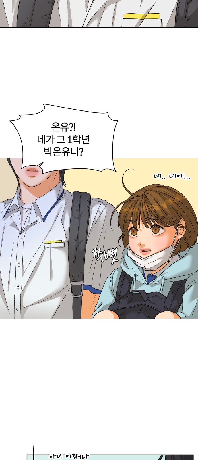43 페이지