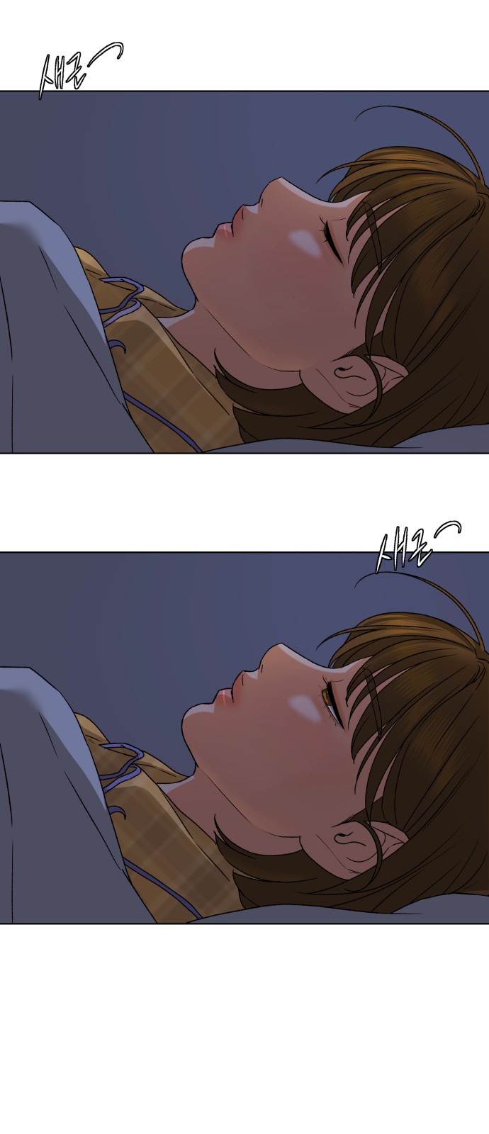 54 페이지
