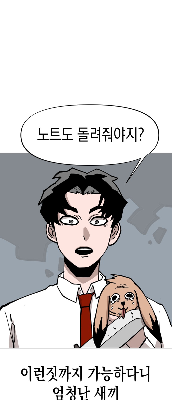 53 페이지
