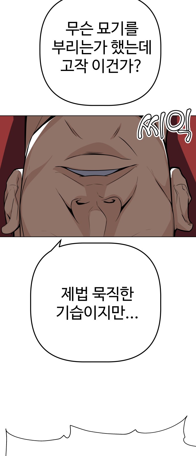 48 페이지