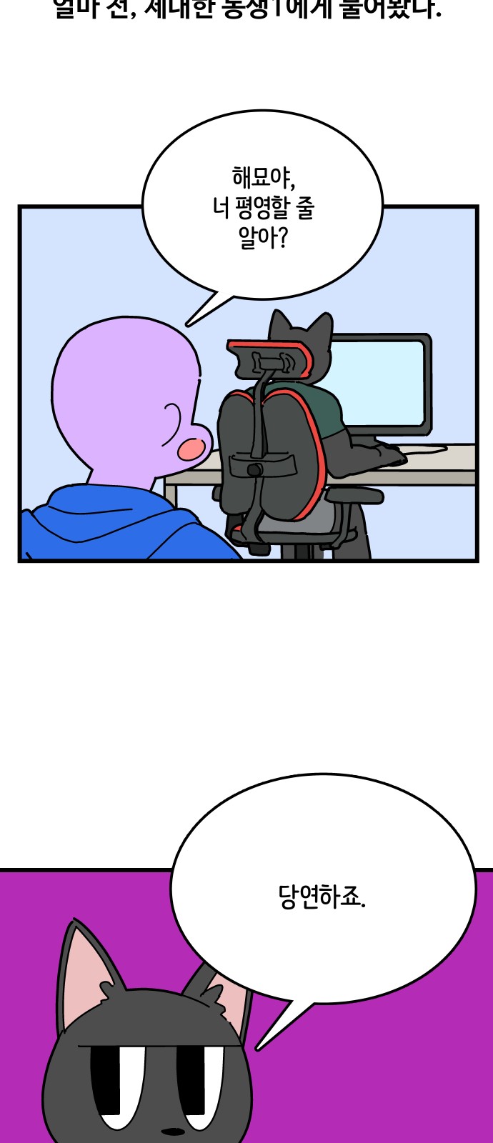 3 페이지