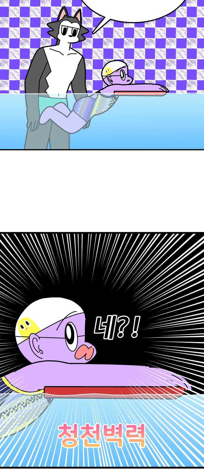 20 페이지