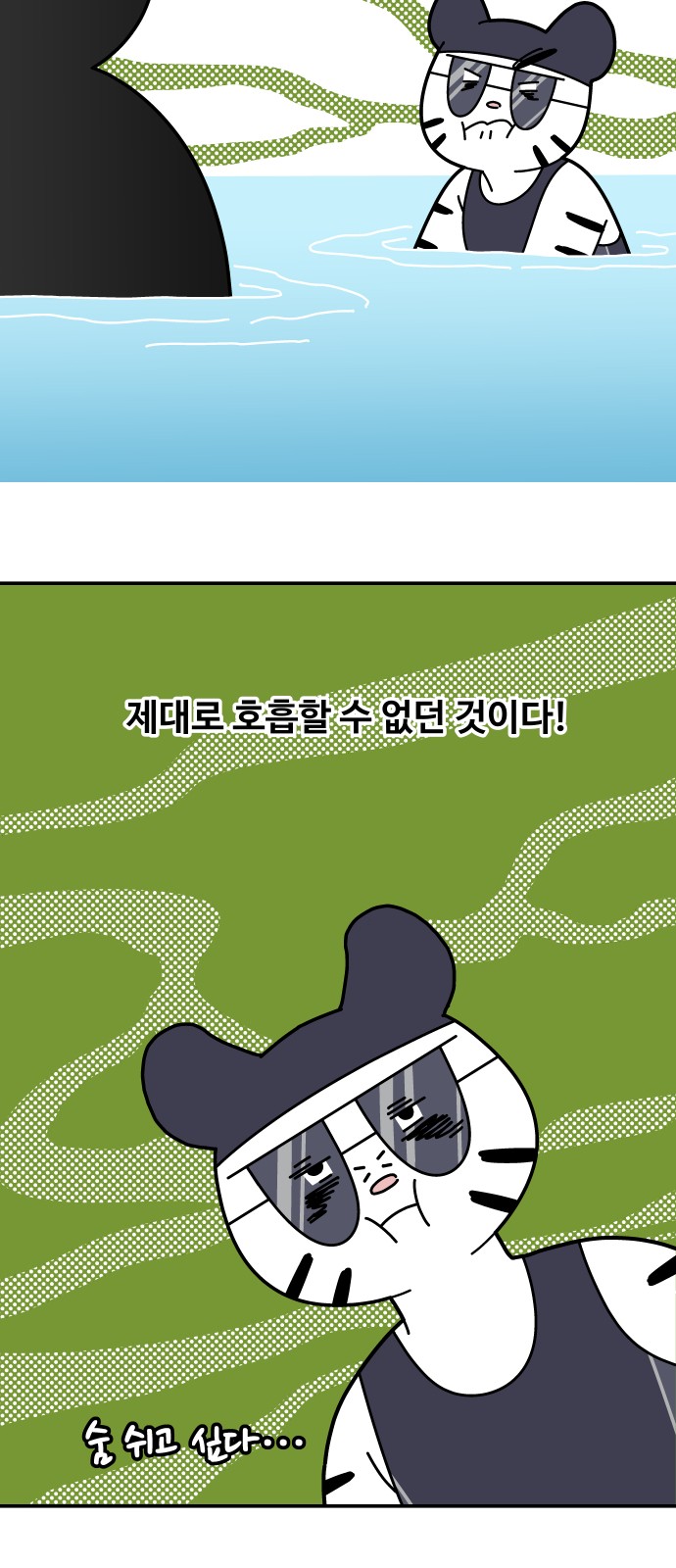 15 페이지