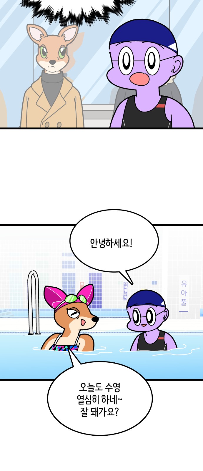 15 페이지