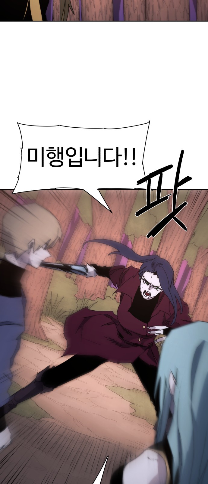 27 페이지