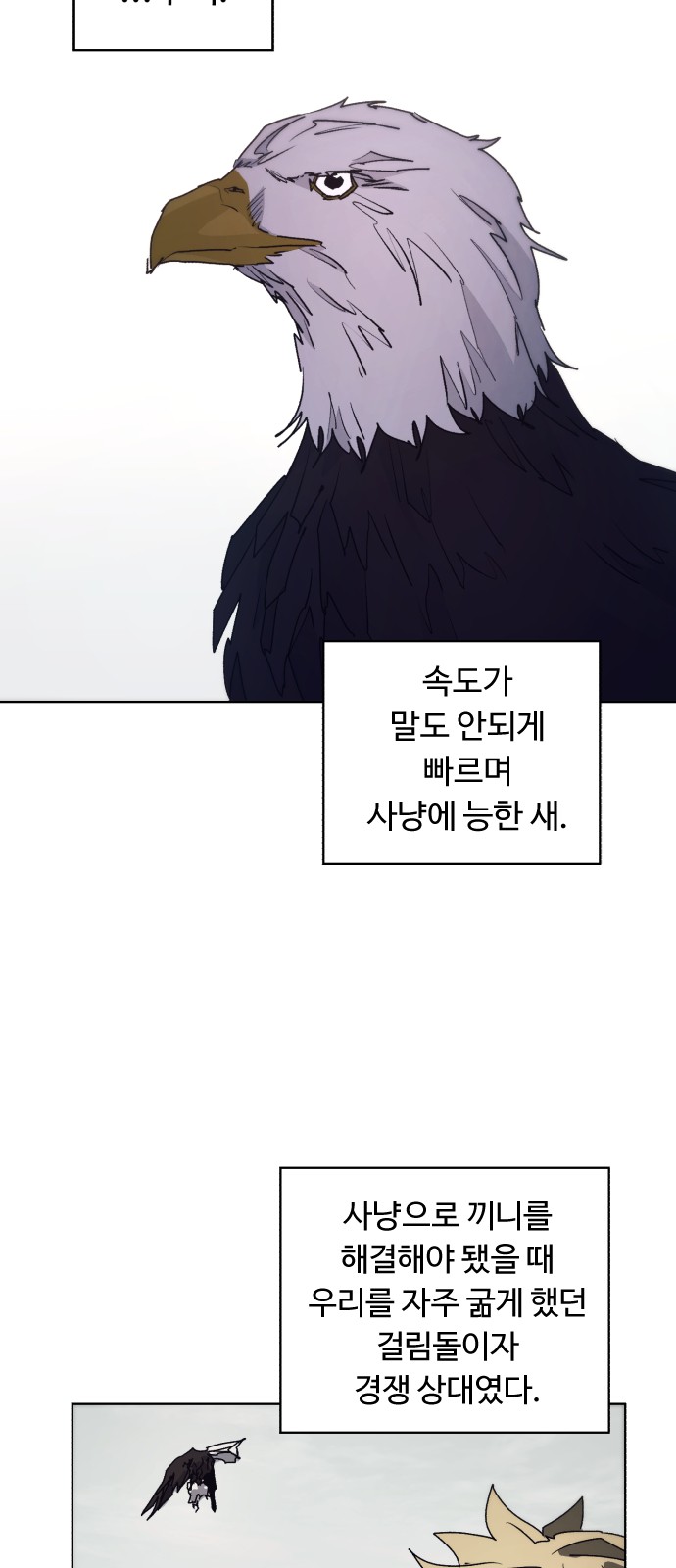 43 페이지