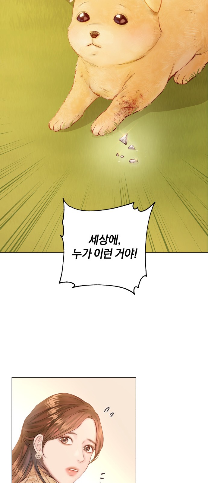 63 페이지