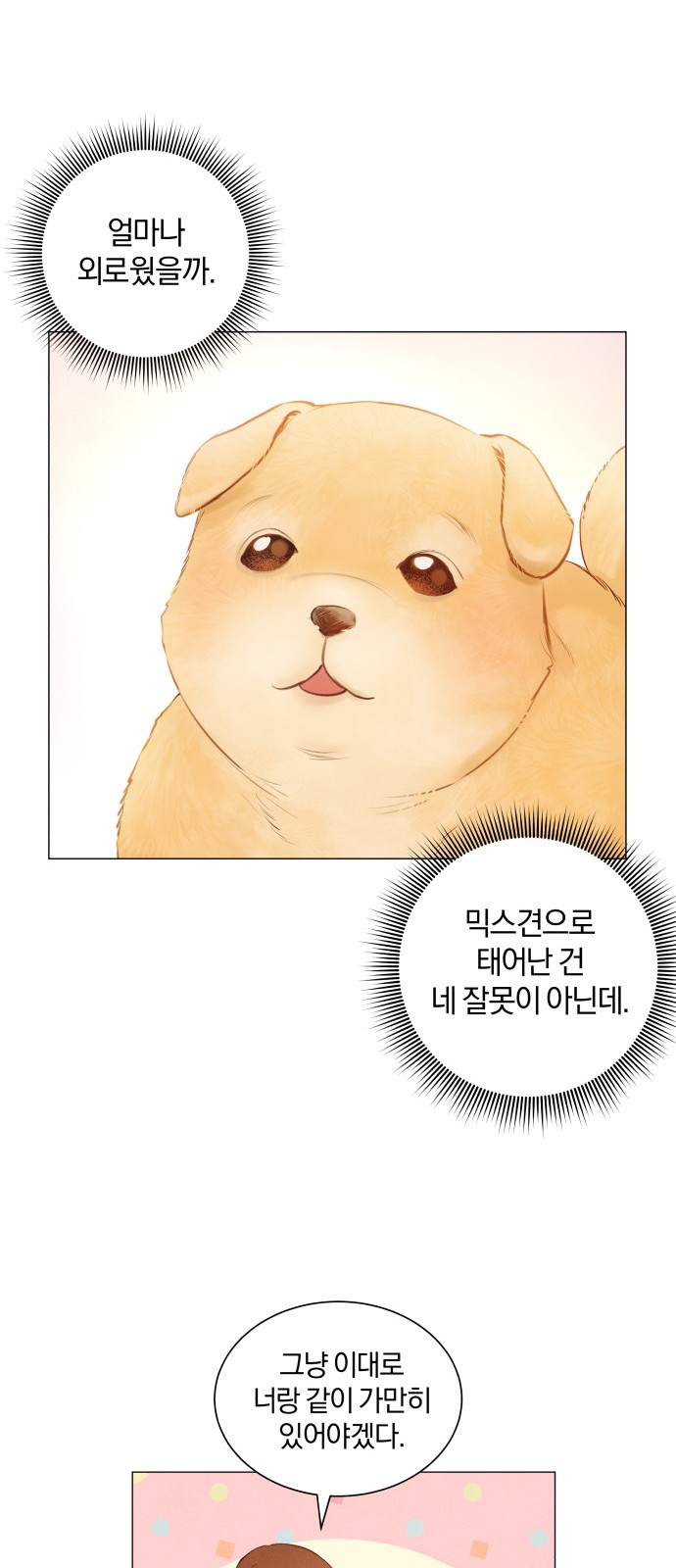 71 페이지