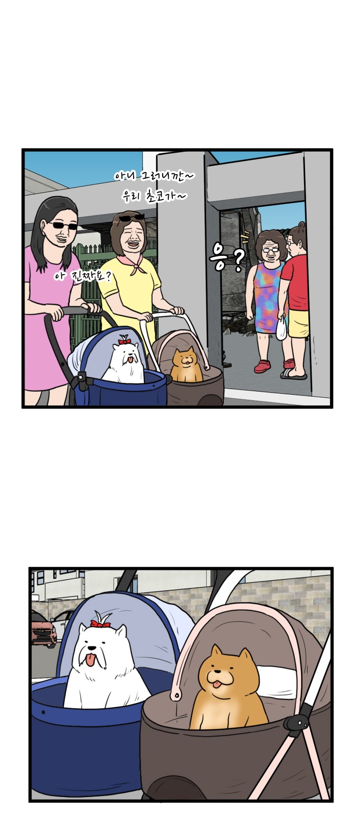 14 페이지