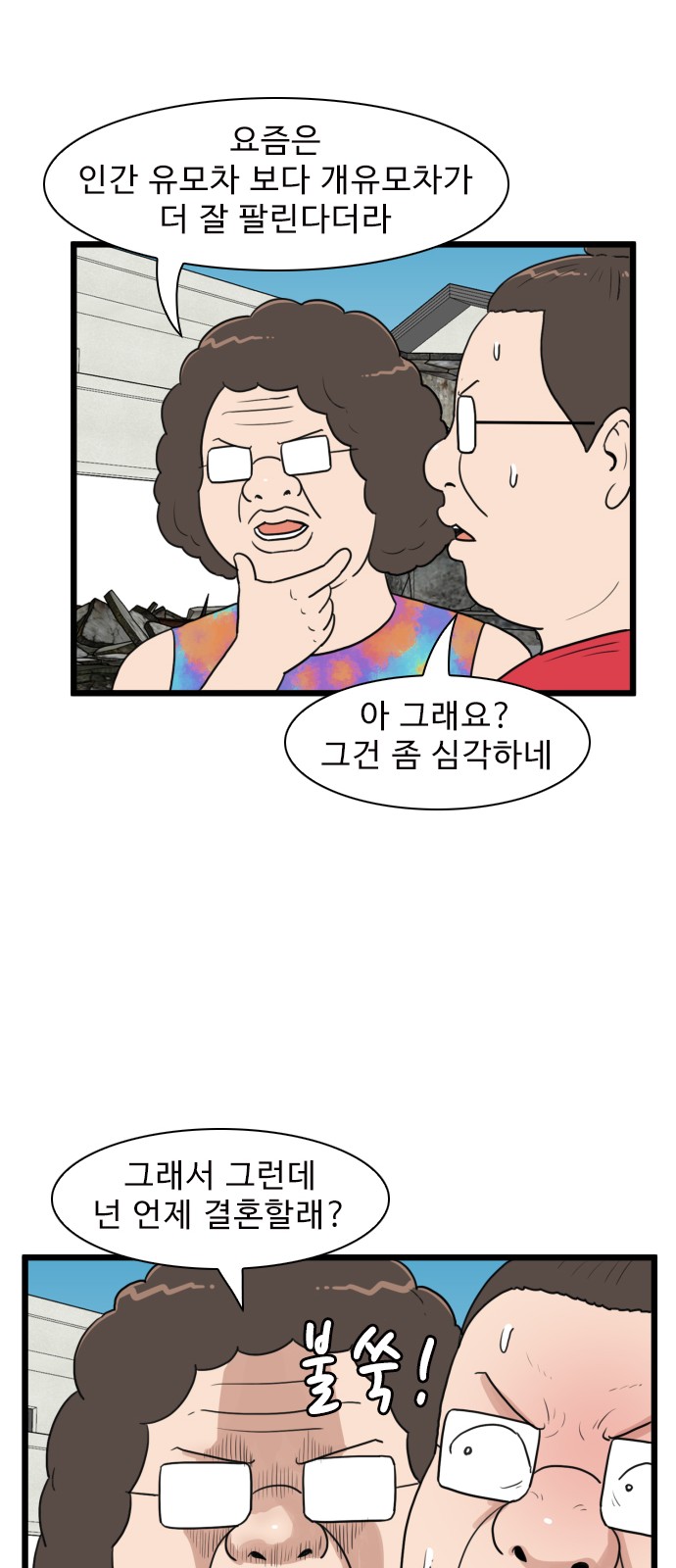 17 페이지