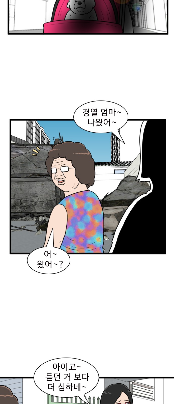 27 페이지