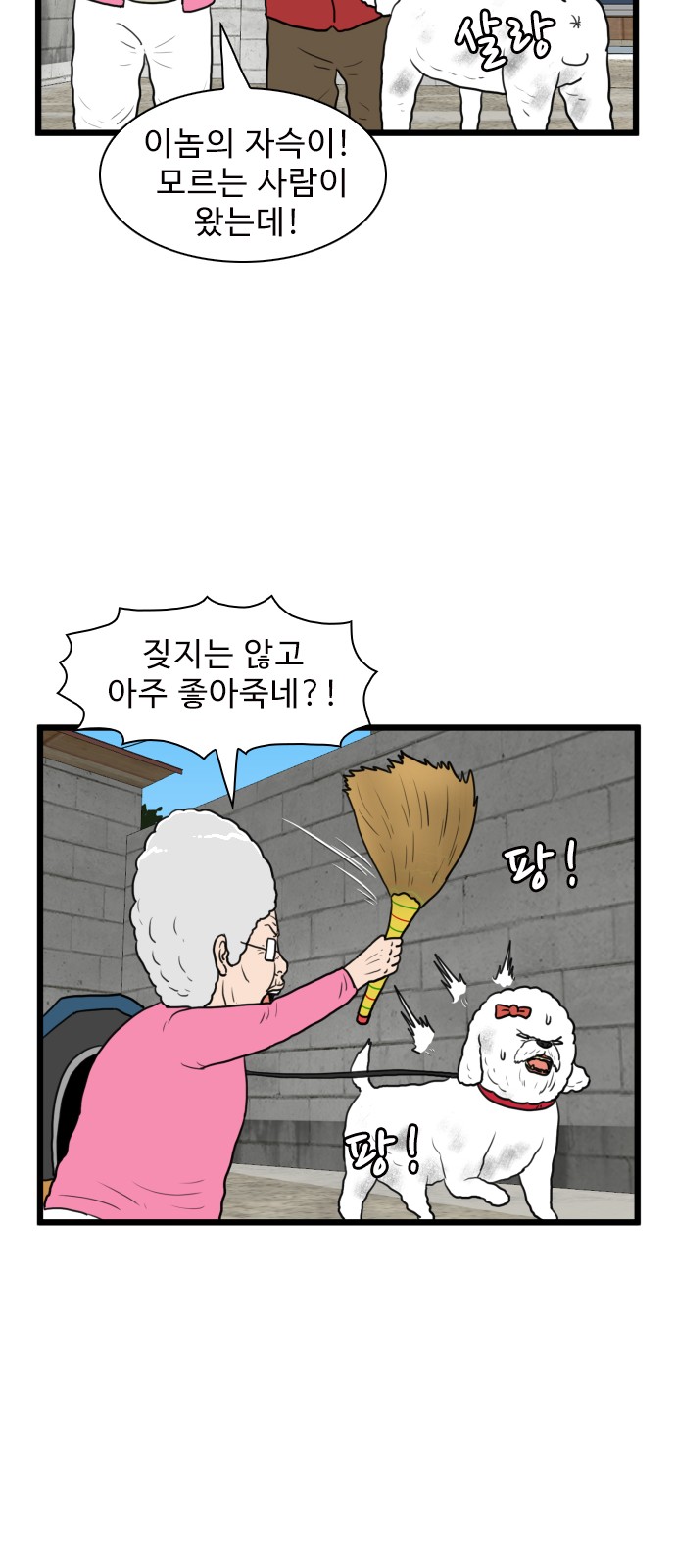 11 페이지