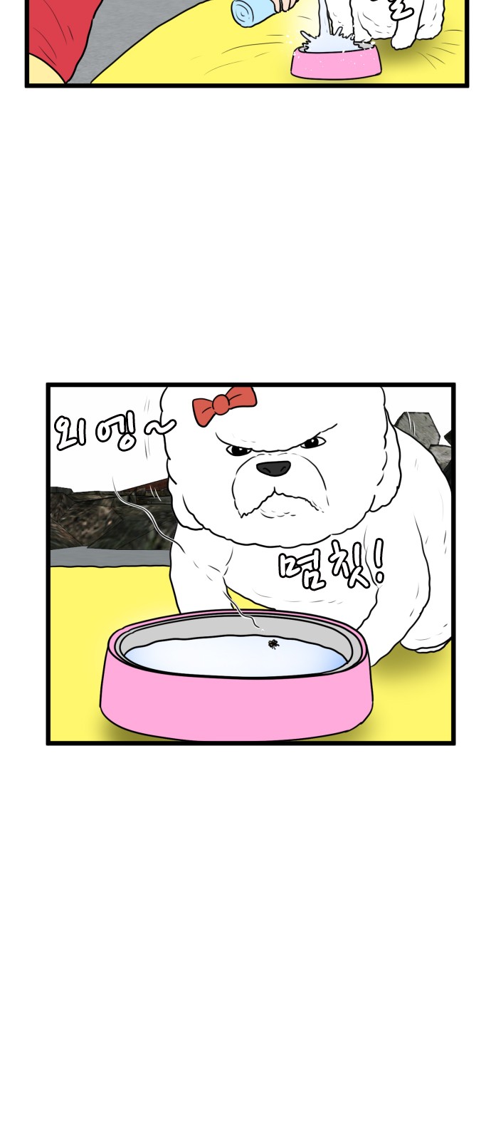15 페이지