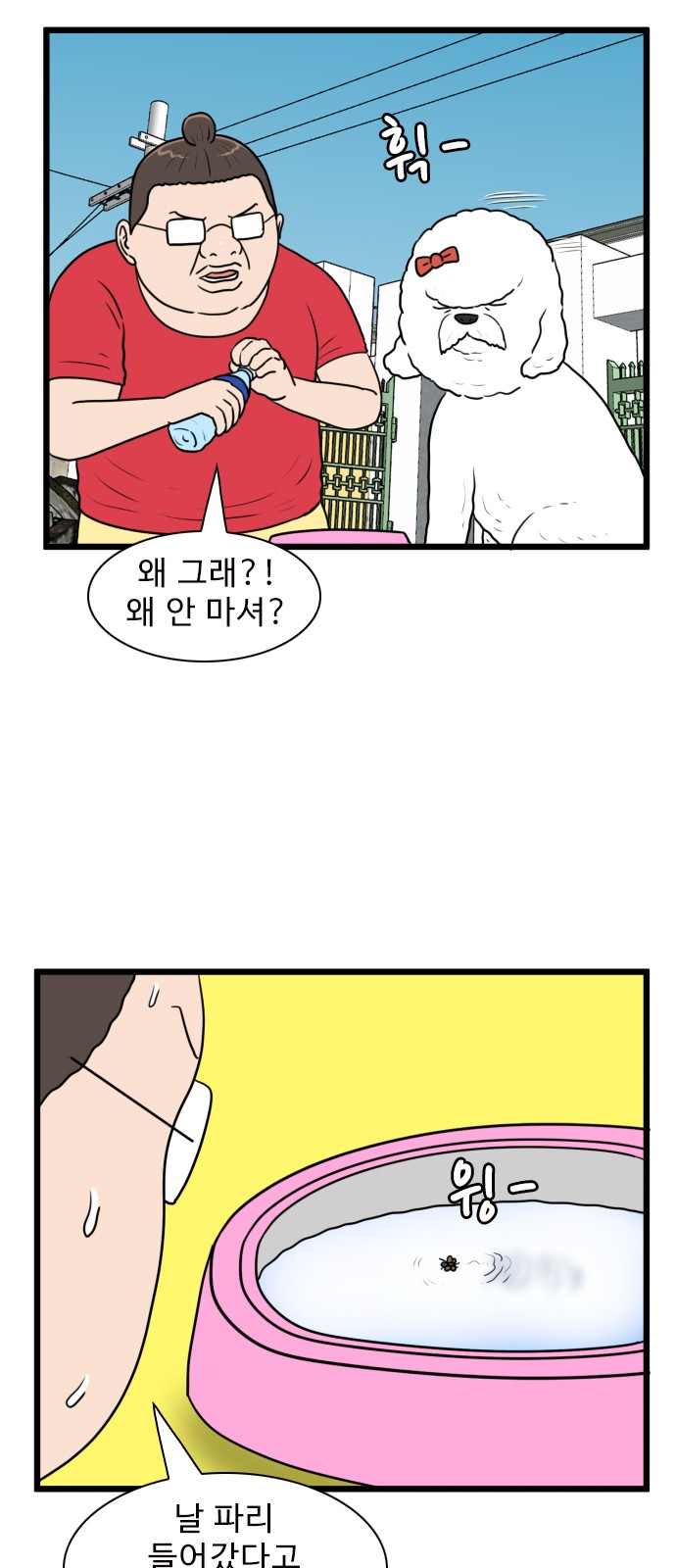 16 페이지