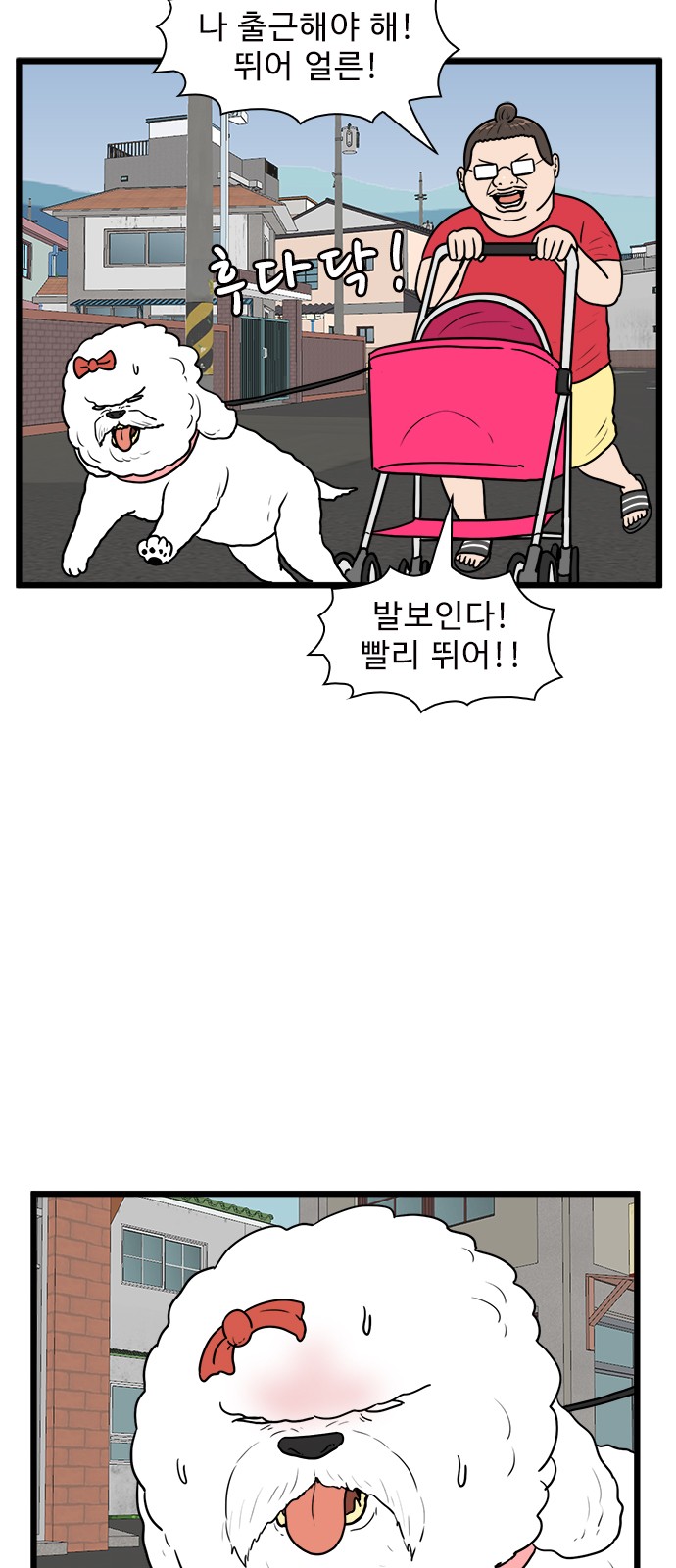 12 페이지