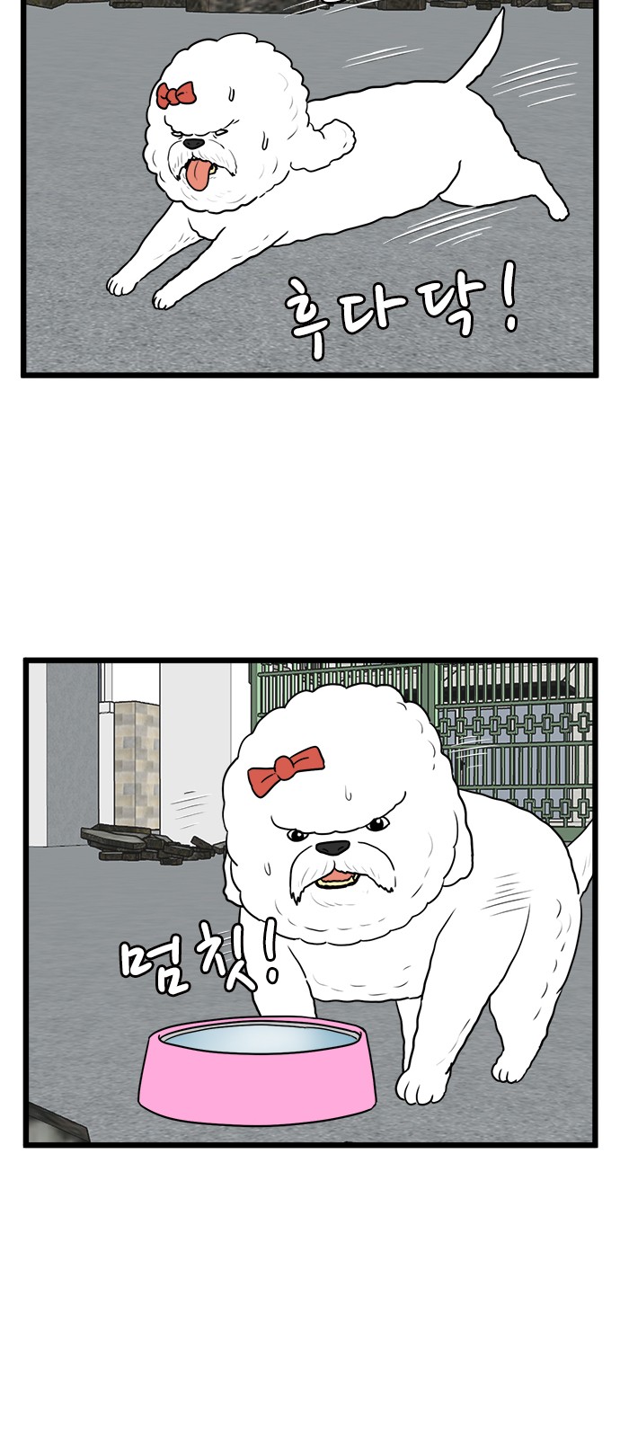 16 페이지
