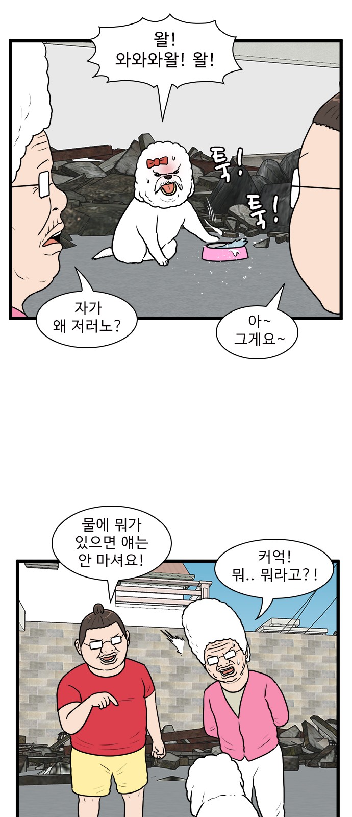 17 페이지