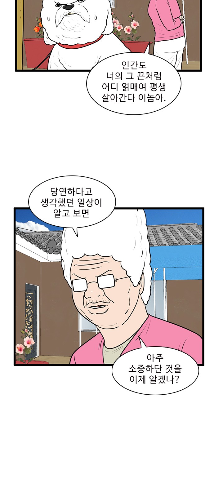 39 페이지