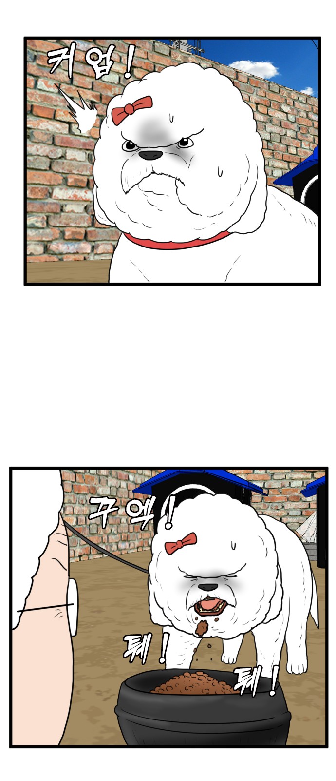 10 페이지