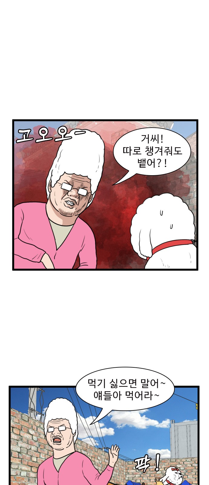 11 페이지